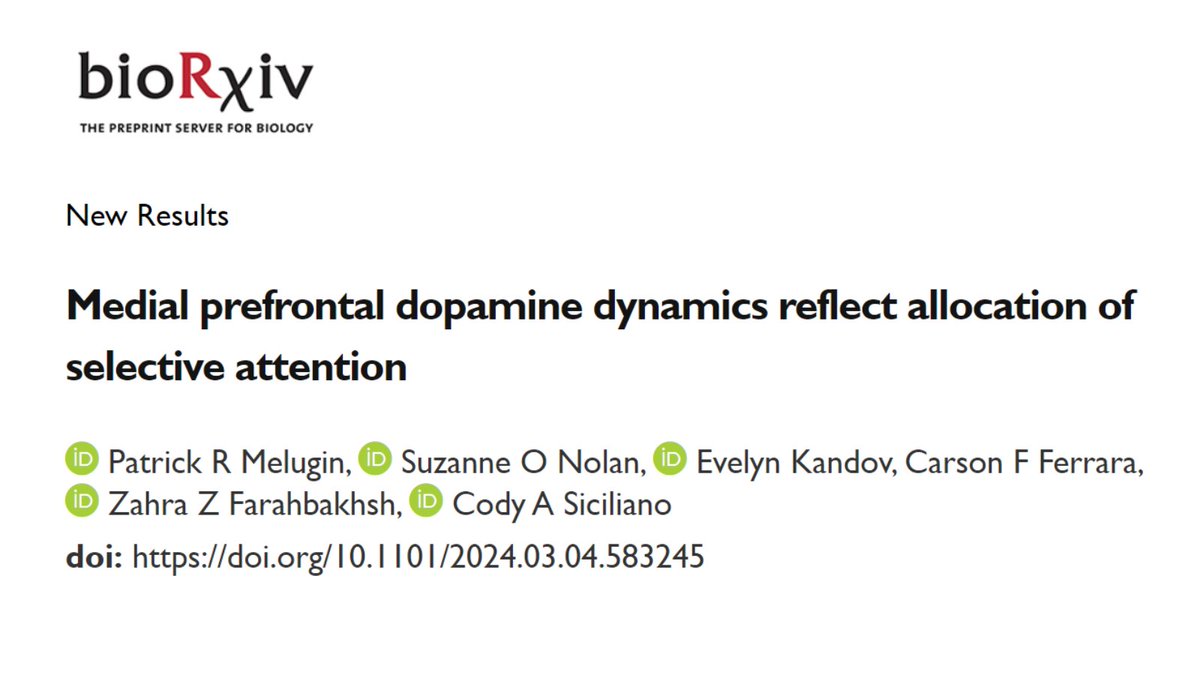 Cody Siciliano, PhD (@codysiciliano) on Twitter photo Excited to share our work on cortical dopamine, out in <a href="/biorxiv_neursci/">bioRxiv Neuroscience</a> ā we demonstrate that prefrontal cortex dopamine dynamics track changes in attentional demand, not stimulus valence. Congrats to lead author Patrick Melugin & the whole team!
biorxiv.org/content/10.110⦠Excited to share our work on cortical dopamine, out in <a href="/biorxiv_neursci/">bioRxiv Neuroscience</a> ā we demonstrate that prefrontal cortex dopamine dynamics track changes in attentional demand, not stimulus valence. Congrats to lead author Patrick Melugin & the whole team!
biorxiv.org/content/10.110ā¦