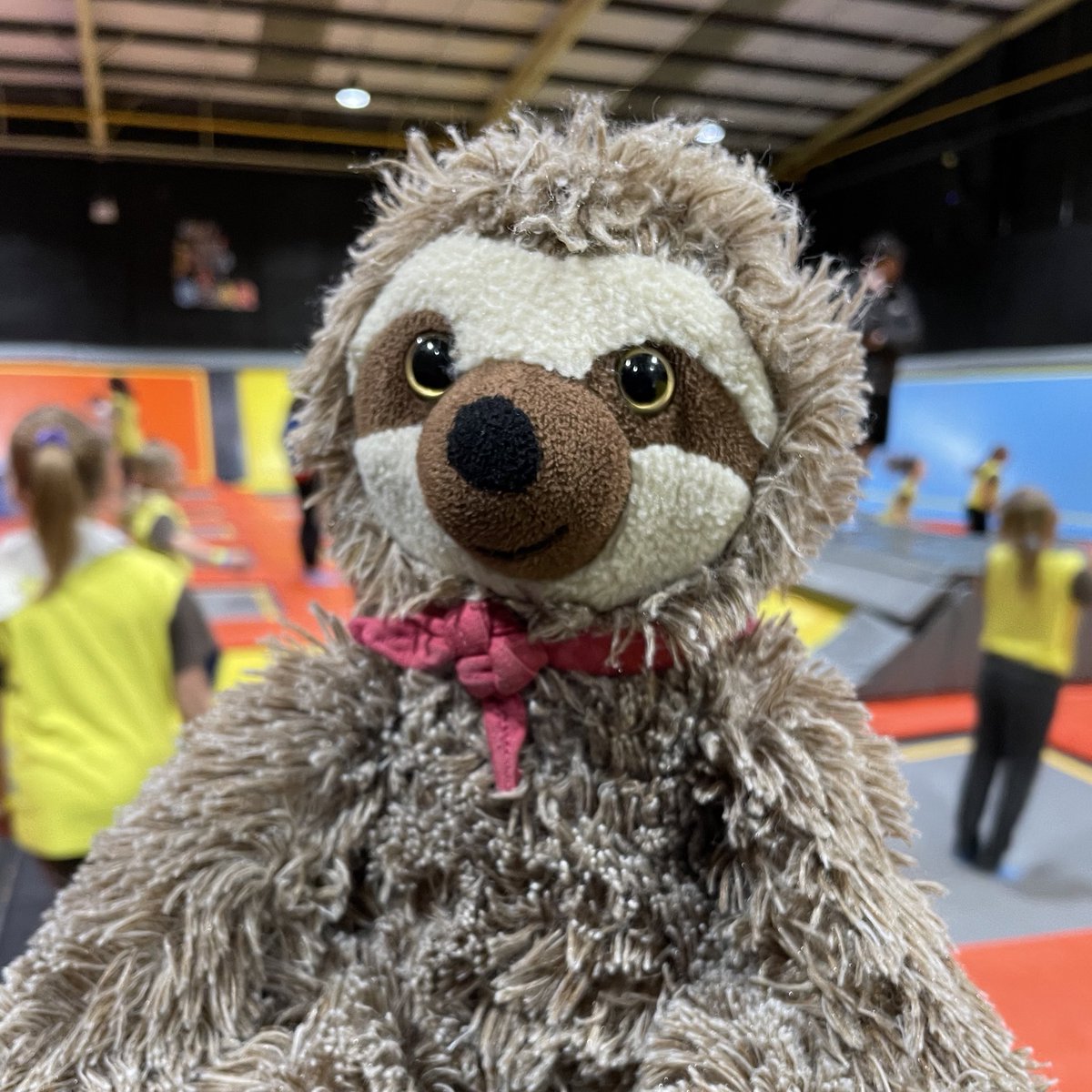 SfidaTheSloth's tweet photo. The Brownies Soar trampoline park sleepover is underway.. 

#girlguiding #girlguidingkenteast #soar https://t.co/uJ3GcddgtB