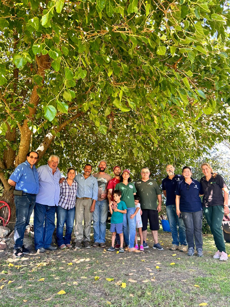 MercedesYacosa's tweet photo. Satisfacción de participar de jornada de trabajo en Castellanos, concretando acciones que permiten la llegada de apoyos a productores y productoras de ovinos. Agregado de valor al producto de la Agricultura Familiar. https://t.co/7EGuHSvven