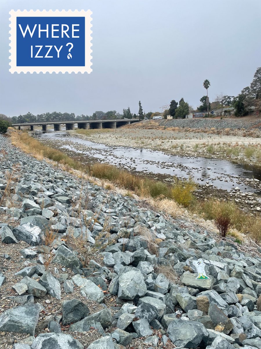 Clean Water Program tweet media