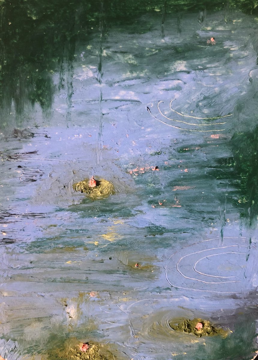jaaysart's tweet photo. water lily studies in my style https://t.co/hEIXlbAuui