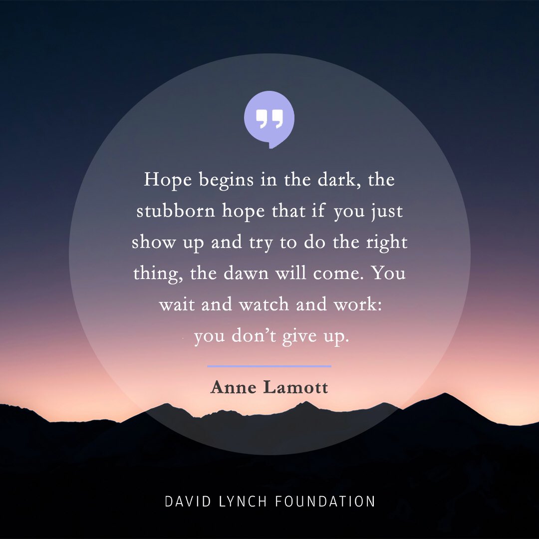 “Hope begins in the dark, the stubborn hope that if you just show up and try to do the right thing, the dawn will come. You wait and watch and work: you don’t give up.” - Anne Lamott #hope #internationalwomensday #iwd2024 #annelamott #meditation #TM #TranscenedntalMeditation