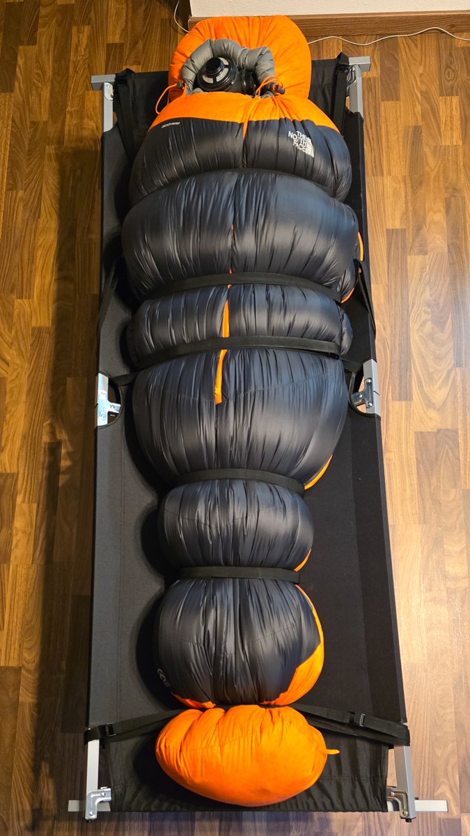 puffy.shiny tweet media