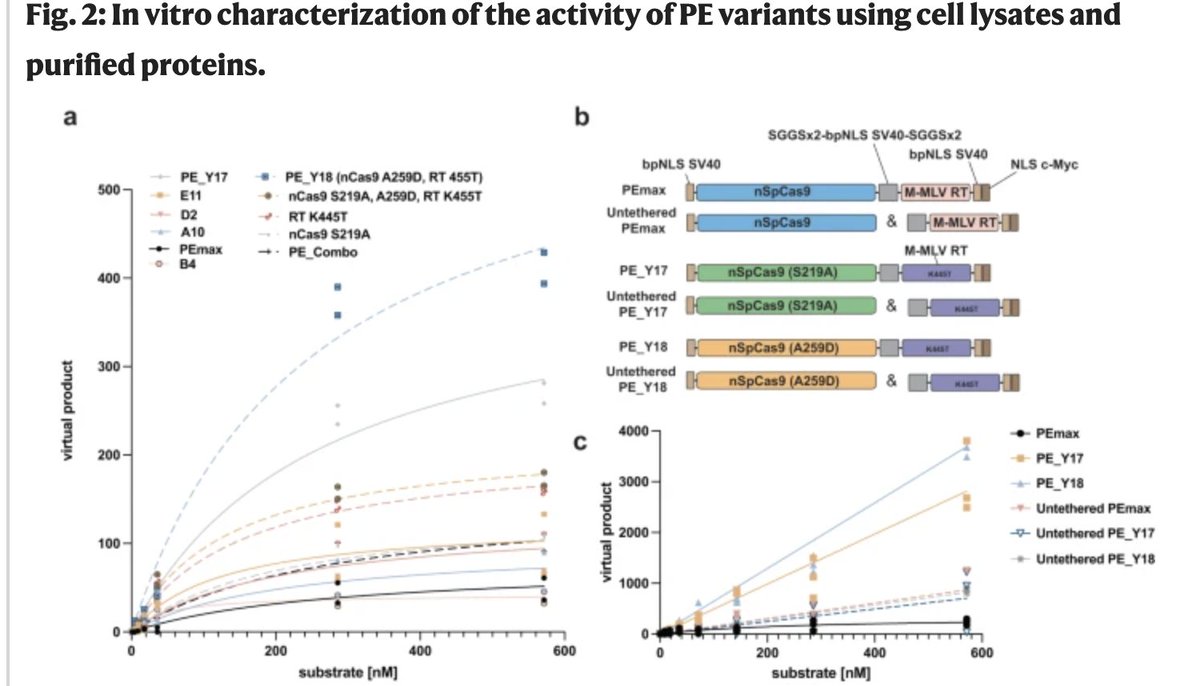 Here we demonstrate that OrthoRep can be employed to evolve genome editors - Congrats to Yanik and many thanks to all collaborators - rdcu.be/dAEnD