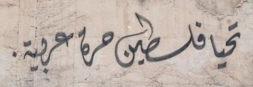 ZaidAlsalman6's tweet photo. لو سمحتم اي حدا بشوف التويتة يعمل reply 🤍🇵🇸 https://t.co/aTwax3H9bh