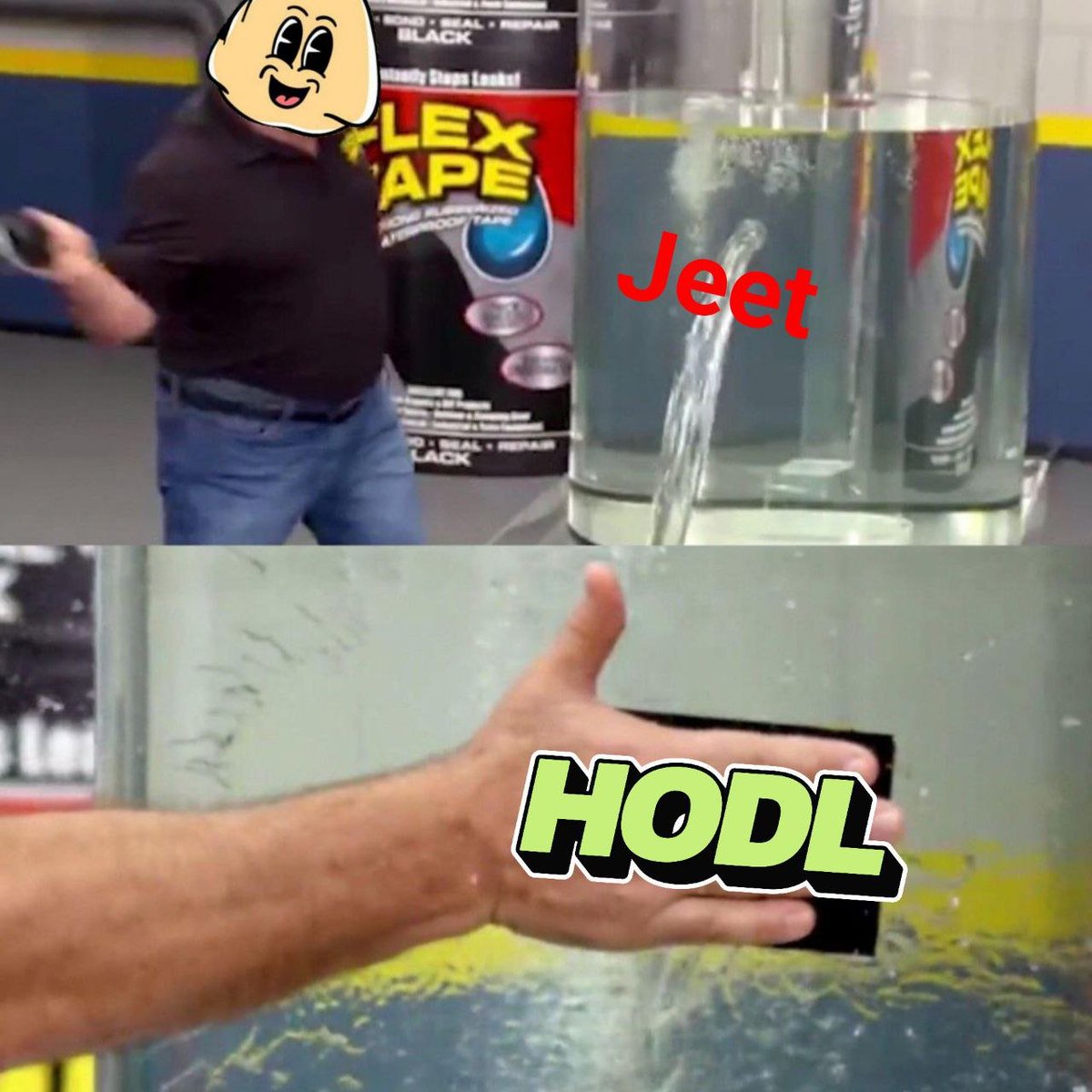 Hold On for Dear Life - $HODL tweet media