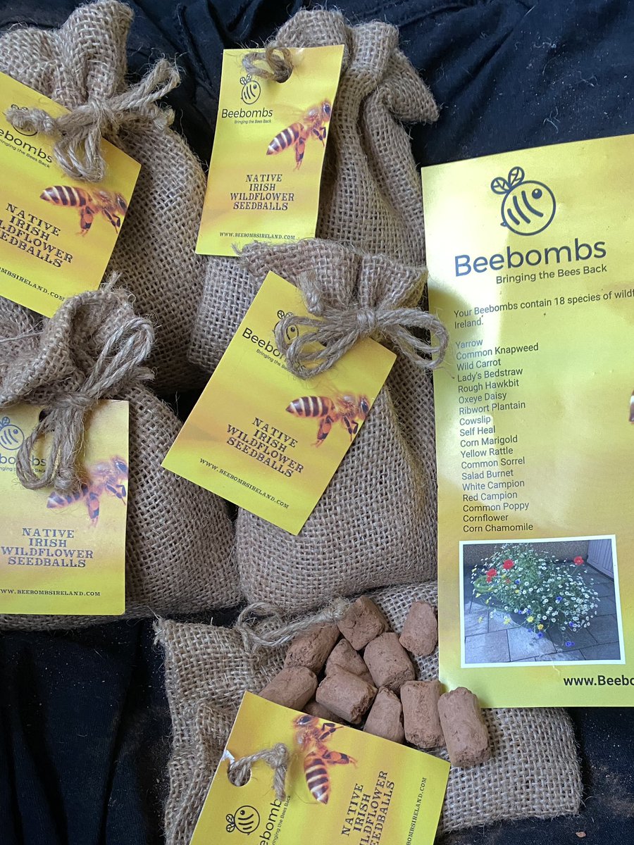Greengiggles420's tweet photo. Got my Bee Bombs Today , hope the poxy weather 🌧️ will be better tomorrow so can try grow wildflowers in front garden at  window  #BeeBombs  #HelpTheBees #WeNeedPollinators #WildFlowers https://t.co/FdyyHbB6p0