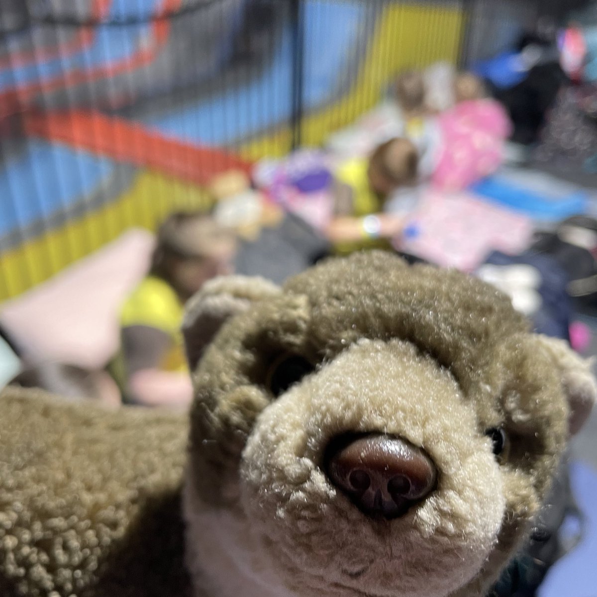 A few years later and I’m back at Soar, this time with Brownies!

#TrampolineParkSleepover #girlguiding #brownies