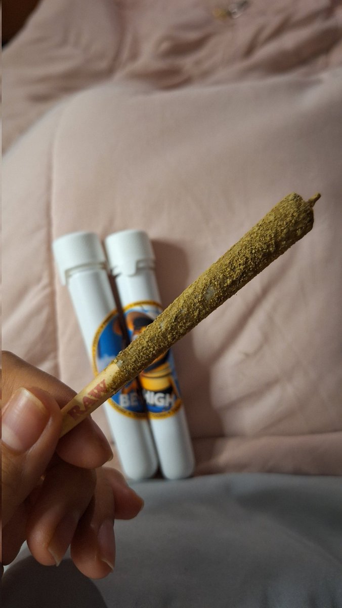 Jennabisss's tweet photo. @LaNovataWeed https://t.co/9FyB3hYCNQ