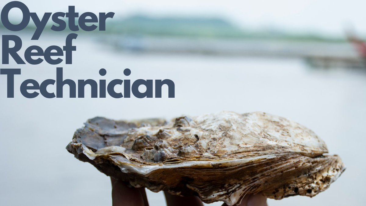 FACT_Network tweet media