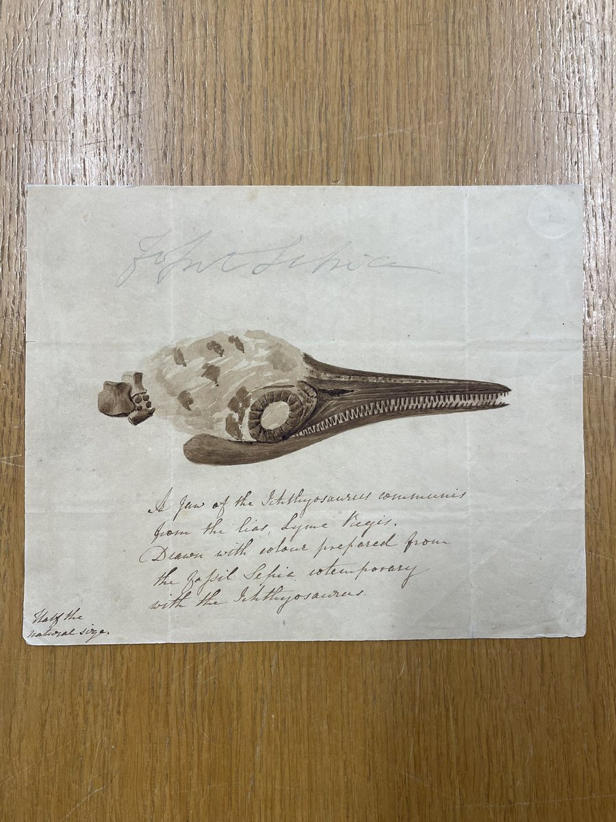 Danielle Czerkaszyn tweet media