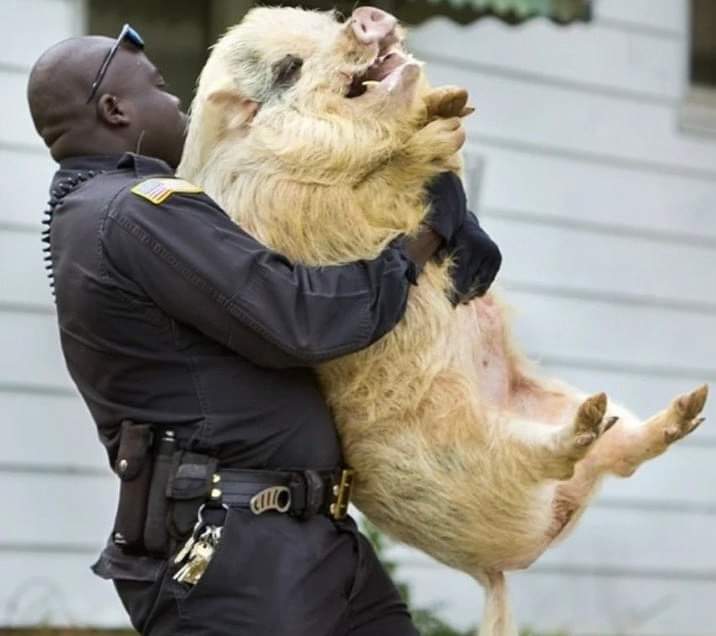 BlueTexas 💔💔 tweet media