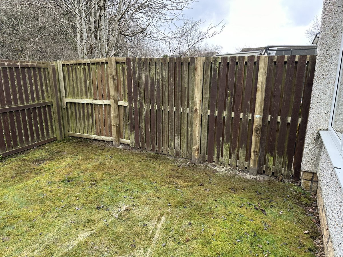 The fencing pandemic comes to an end at least for a week with 1 new fence and 2 repairs. We know it’s not always financially possible to completely replace a damaged fence so we will work with you to repair where possible.