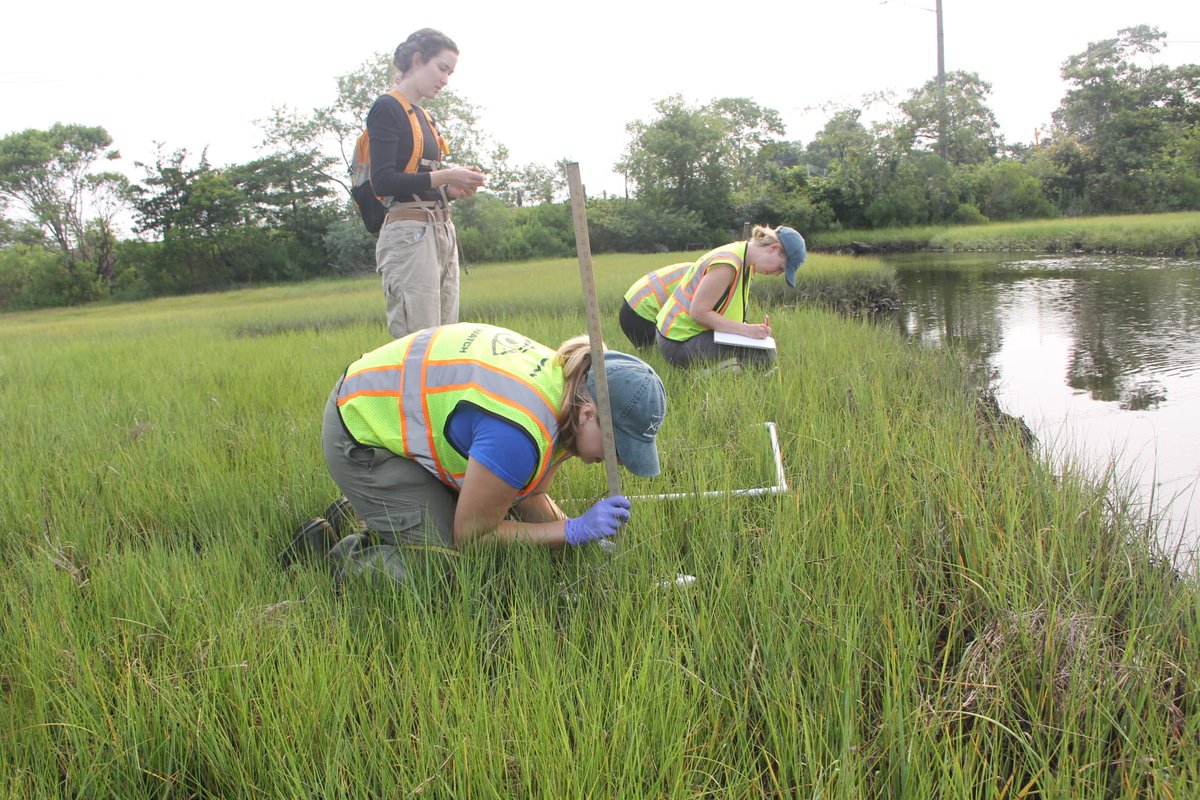 nyseagrant's tweet photo. Preliminary proposals for 2025-27 @LISStudy research projects are due online by 5 pm EDT on Monday, April 8, 2024: https://t.co/ifteUSzBkC #LongIslandSound #LISound @LISStudy @CTSeaGrant @CornellCALS @ccecornell @EPAregion2 @NOAAResearch @SeaGrant https://t.co/tPxtvNa5Mx
