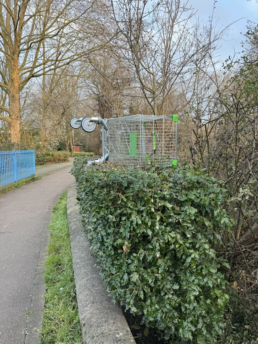 #supermarket #trollies #hedges #parks #caption call @BrookmillPark this morning - need inspiration check the hilarious ones here - facebook.com/share/r/XvisZi…