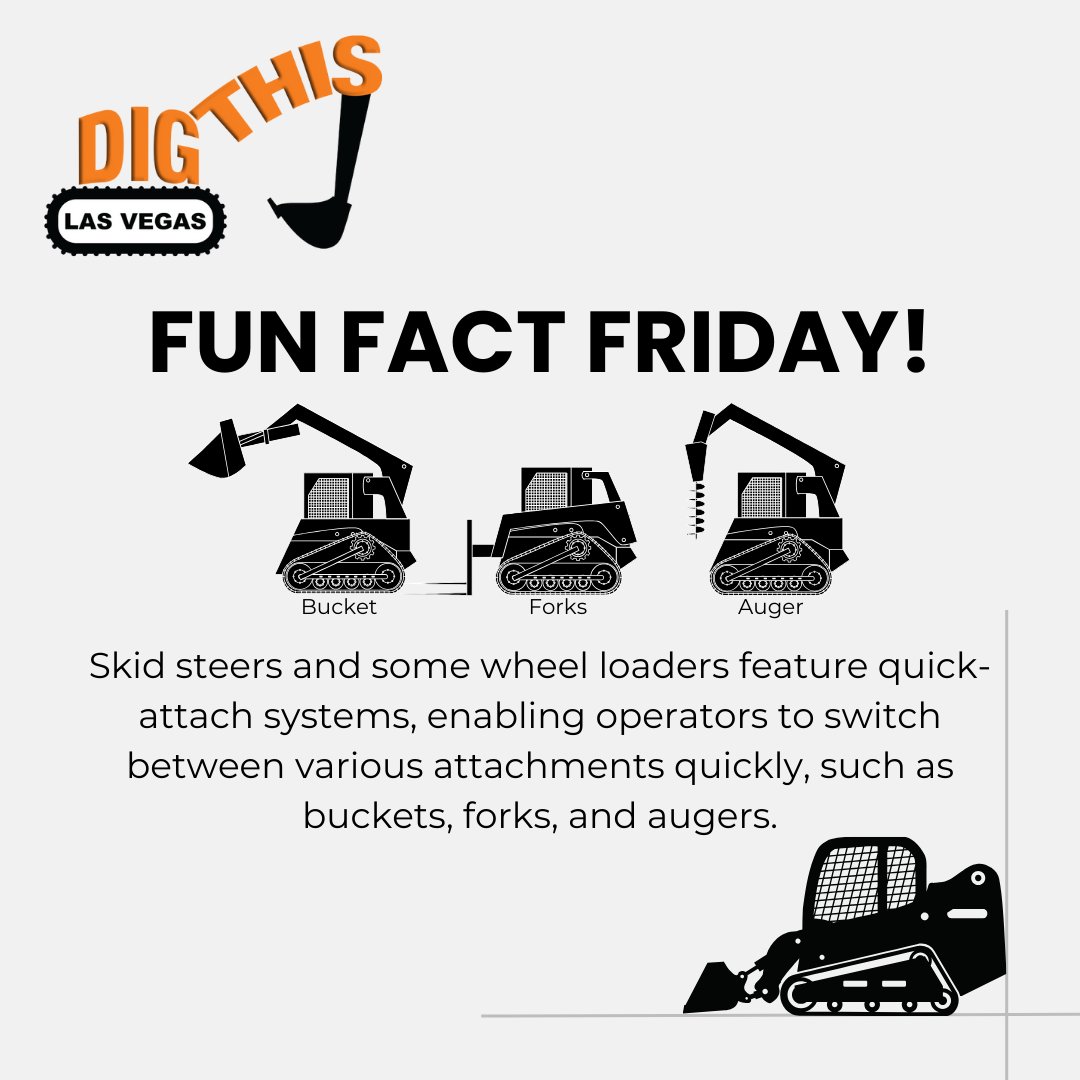 Dig This tweet media