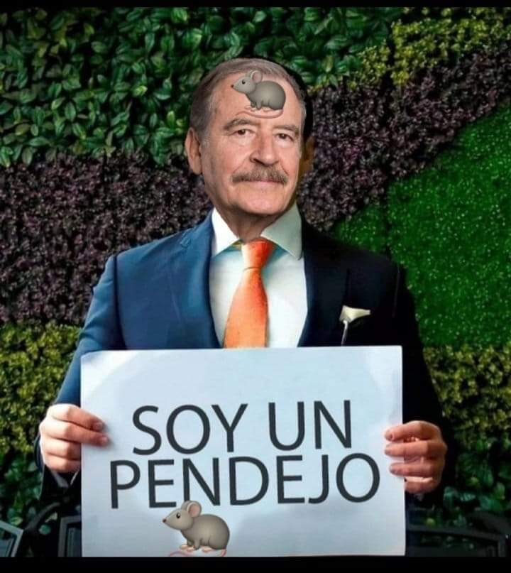 pelayo_miguel's tweet photo. https://t.co/vxu28tlX3r