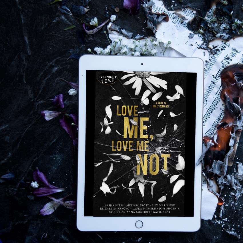 Evernight Publishing tweet media