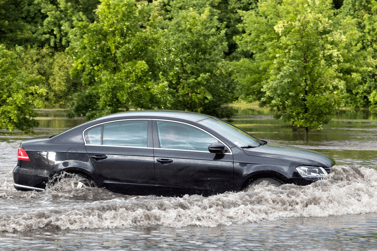 🚗😎 We at #Salvagebid are here to share some key points that help you understand how to spot a flood-damaged #car when buying a #usedvehicle 👉: cutt.ly/Rw1HGQmW