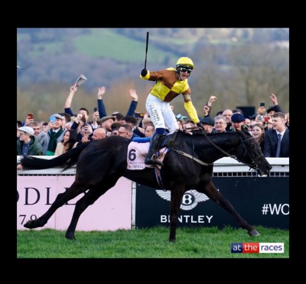 steve_abell's tweet photo. @AtTheRaces @PTownend https://t.co/YkLYHITpsd