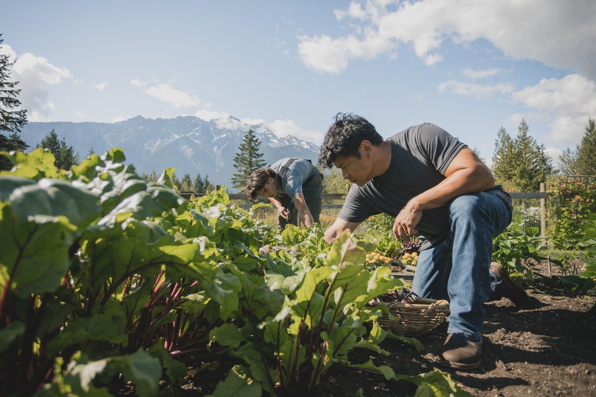 How can we grow more crops without harming the environment? Scientists discovered that when farmers in eastern Canada rotated their crops, they produced more while reducing the carbon footprint. #CanSci