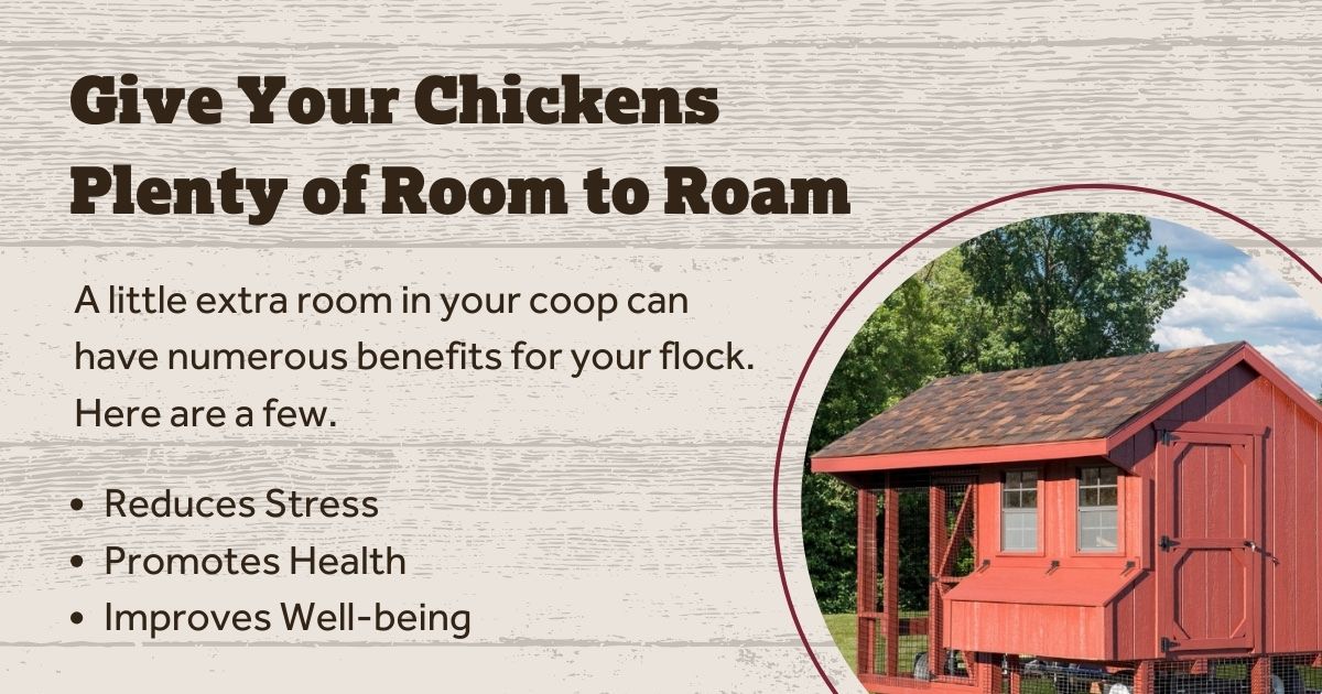 DakotaStorage's tweet image. Chickens thrive when they have space to exhibit their natural behaviors — like scratching, pecking, and exploring. A spacious coop and run not only keep them physically active but also mentally engaged. 

Help your chickens thrive.
hubs.ly/Q02kgk_p0

#chickencoops #chickens