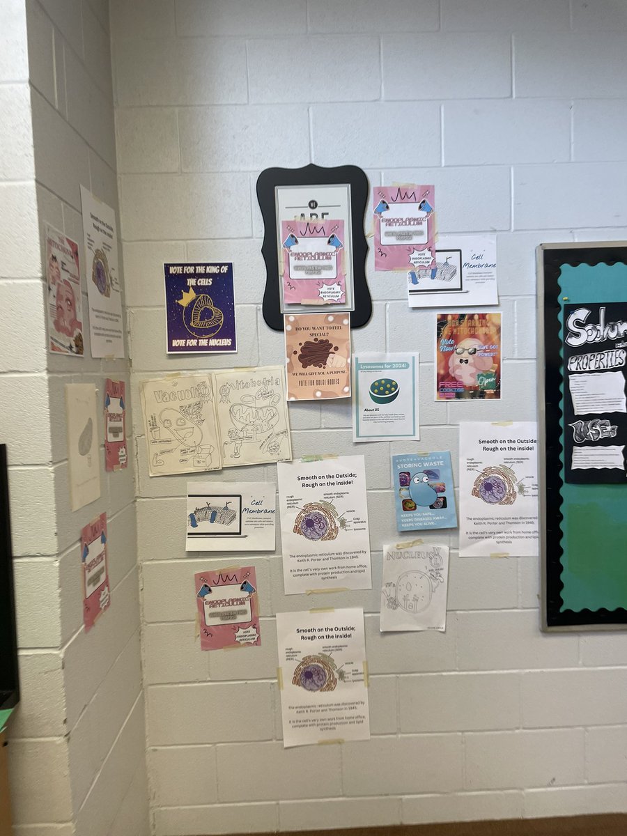 Fun day in Grade 10 during our Cell Organelle Campaign. Stickers, t-shirts and lots of science baking to prove why each organelle is the most important in the cell.