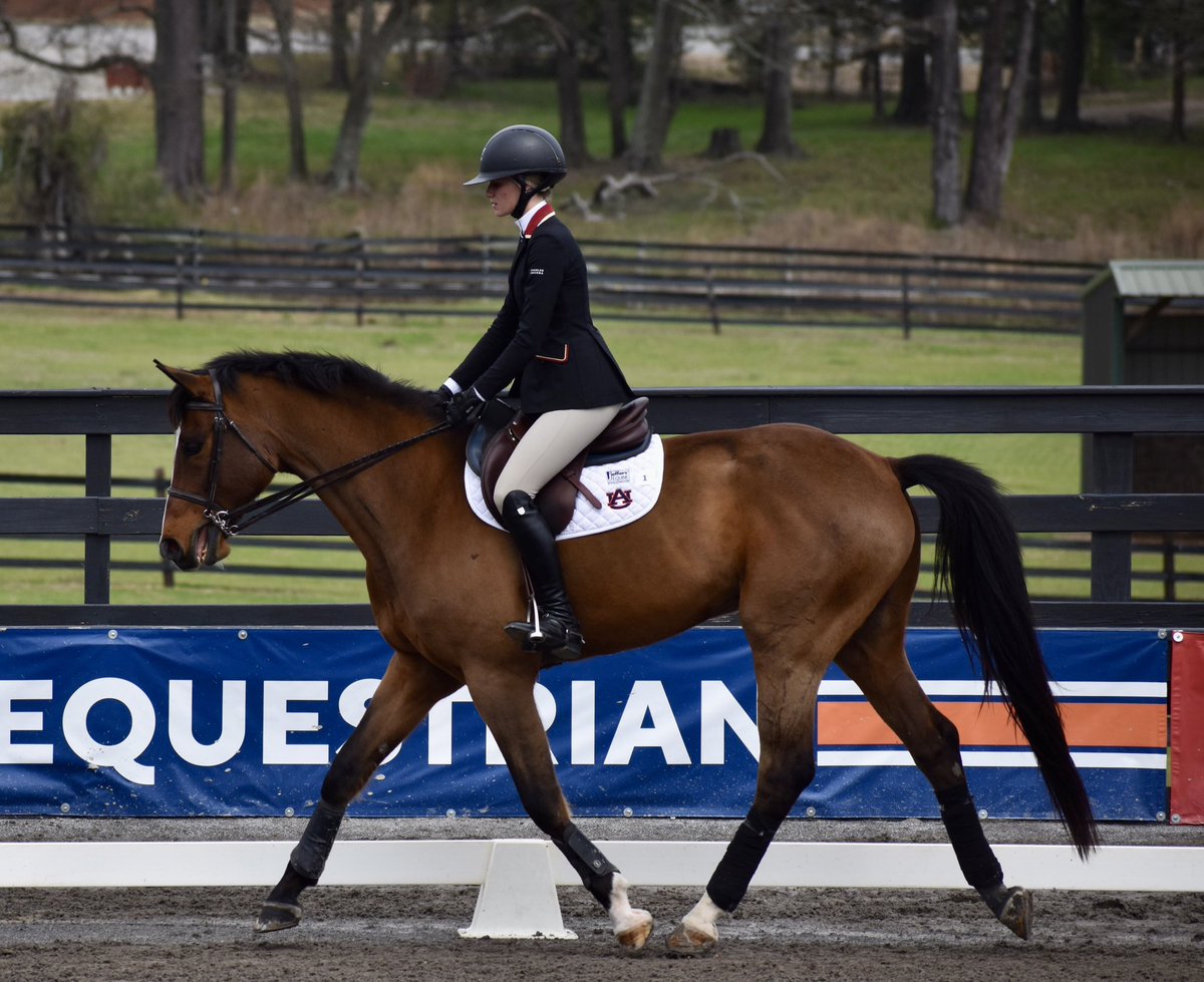 Charleston Equestrian tweet media