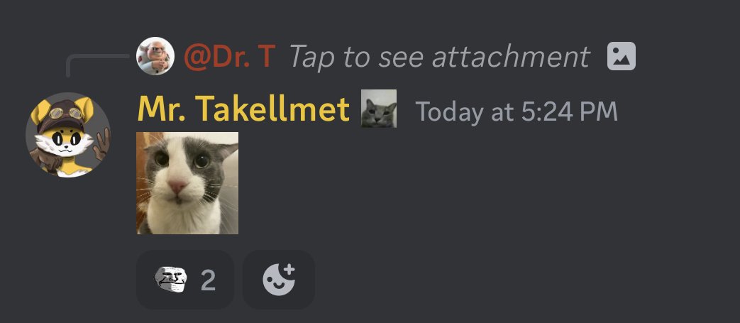 _fineena's tweet image. the same staff that&apos;s perfectly okay with a straight-up p0rn reference is the same one that seethes at sparta in a princess dress is so laughable