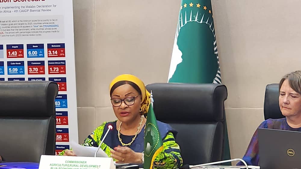 Amb. Josefa Sacko tweet media
