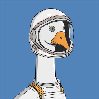 mralgosla.algo 🐍 tweet media