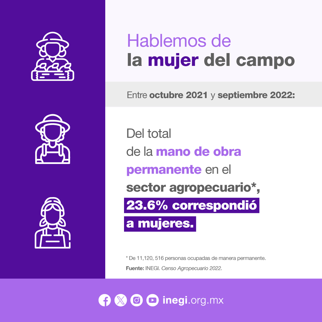INEGI_INFORMA's tweet photo. Hoy #8deMarzo conmemoramos el Día Internacional de la Mujer bajo el lema «Invertir en las mujeres, acelerar el progreso». Con este motivo, el #INEGI comparte información sobre las #mujeres que participan en el sector agropecuario.

📄 Consulta el comunicado de prensa: https://t.co/B9XhHB3saI