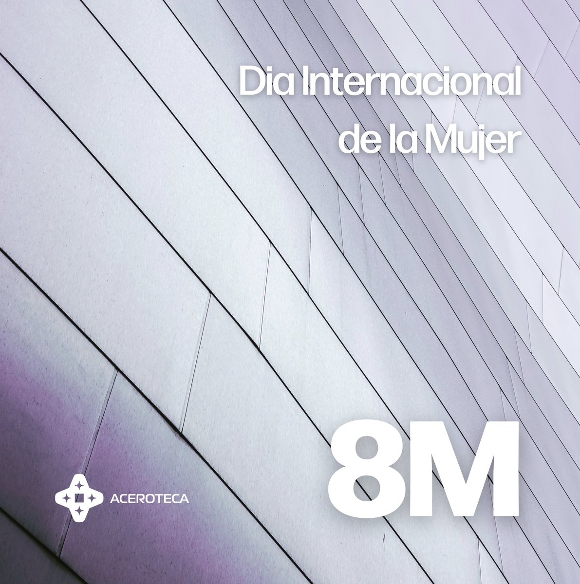Aceroteca's tweet photo. En Aceroteca conmemoramos y apoyamos el día internacional de la mujer. 
•
#8M 💜 #diadelamujer #8marzo #mujer https://t.co/OPUEhOb3Uh