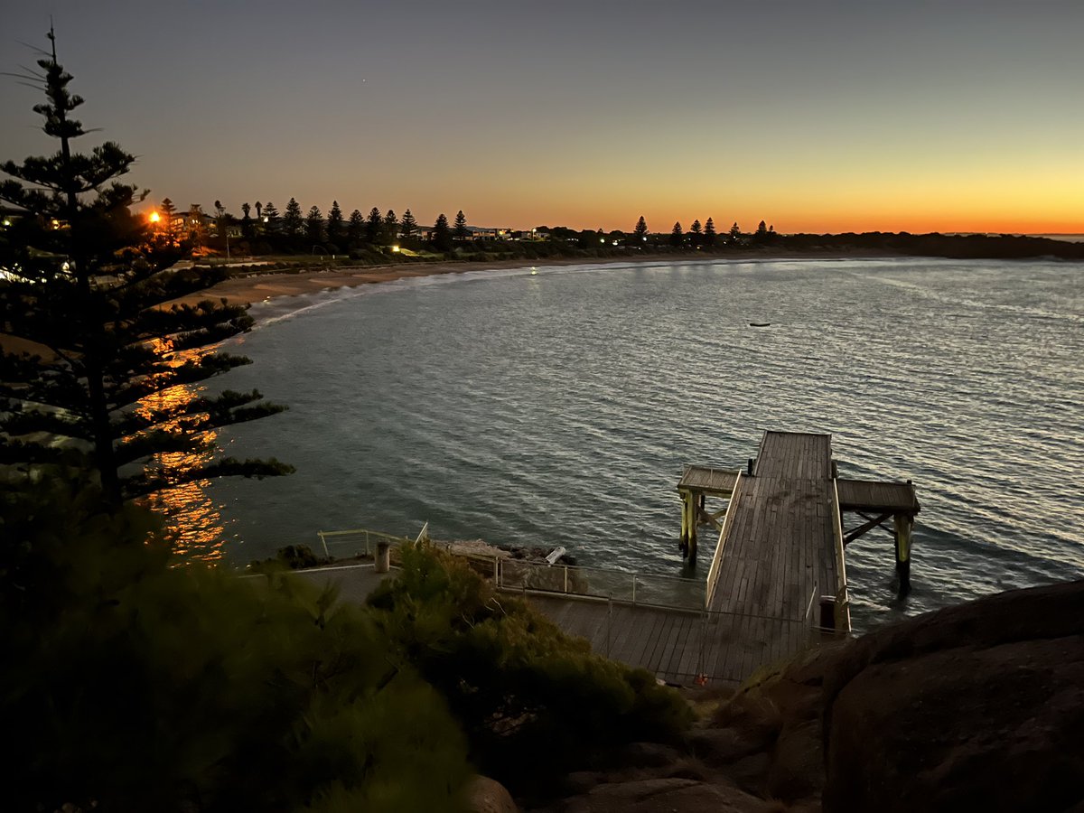 Caroline Horn tweet media