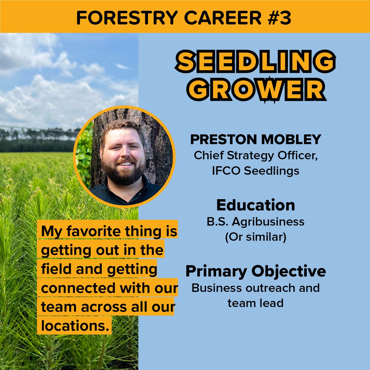 Georgia Forestry Foundation tweet media