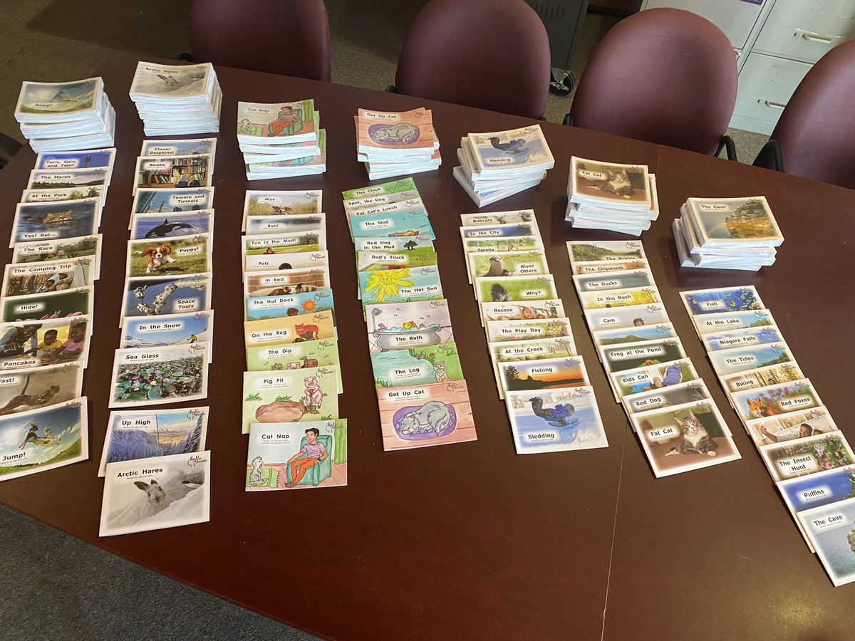 Look what has arrived here at Keewaywin First Nation school! We are so excited to roll out these class sets of <a href="/SyllaSense/">SyllaSense</a> decodable books📚.  Good things are happening!!
