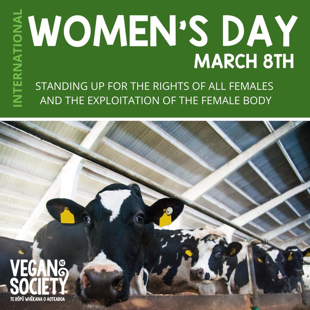 International Women’s Day for all women 💚

Stop abusing, raping and killing our female animals!

#internationalwomensday #animals #govegan
