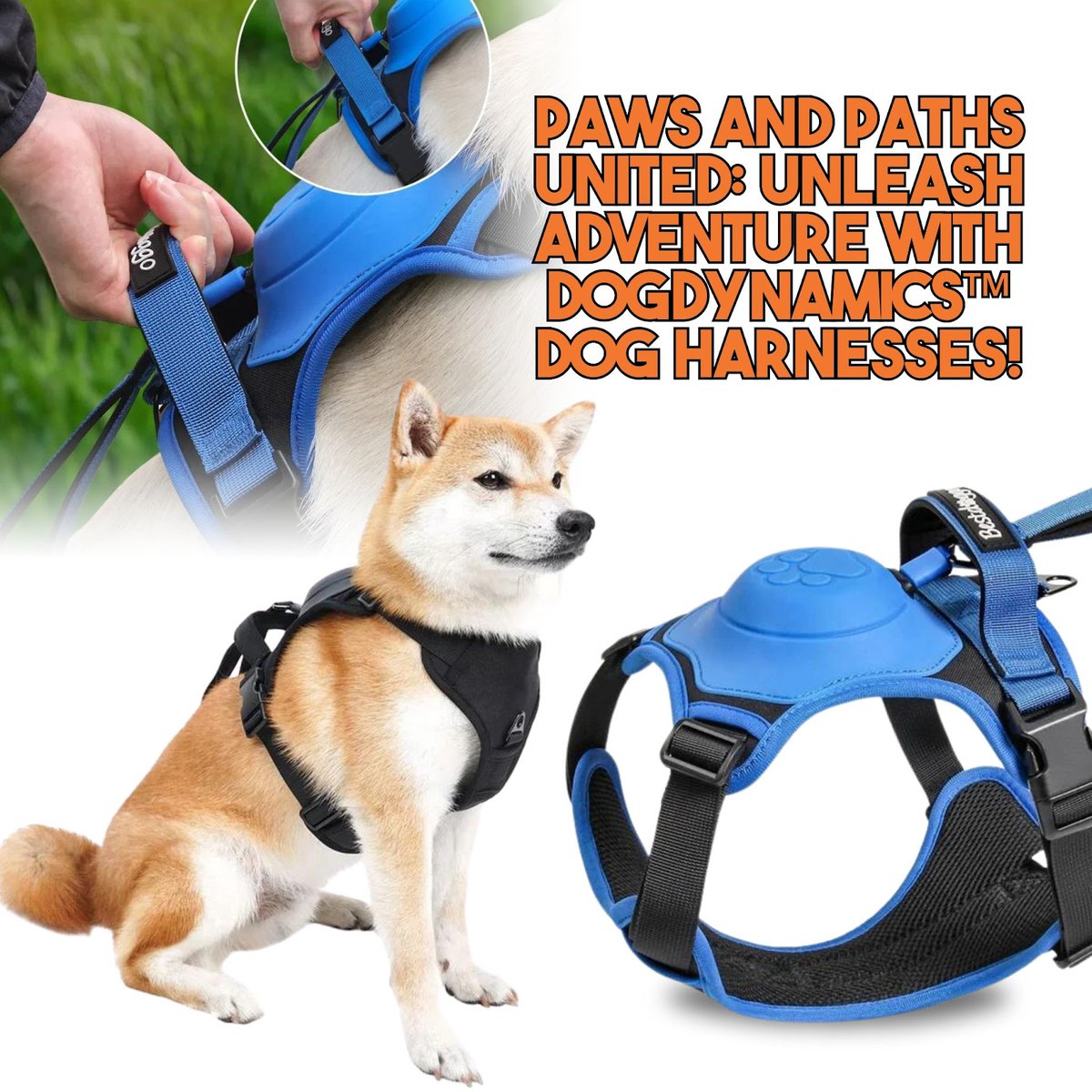 dogdynamicstore's tweet image. &quot;Forge unforgettable bonds on every journey with Dogdynamics™ Dog Harnesses! 🐾 Crafted for comfort and resilience, our harnesses ensure your furry friend&apos;s safety and stability during outdoor escapades.
----
Shop Now: dogdynamicsstore.com/products/dogdy…
.
#Dogdynamics #DogHarnesses