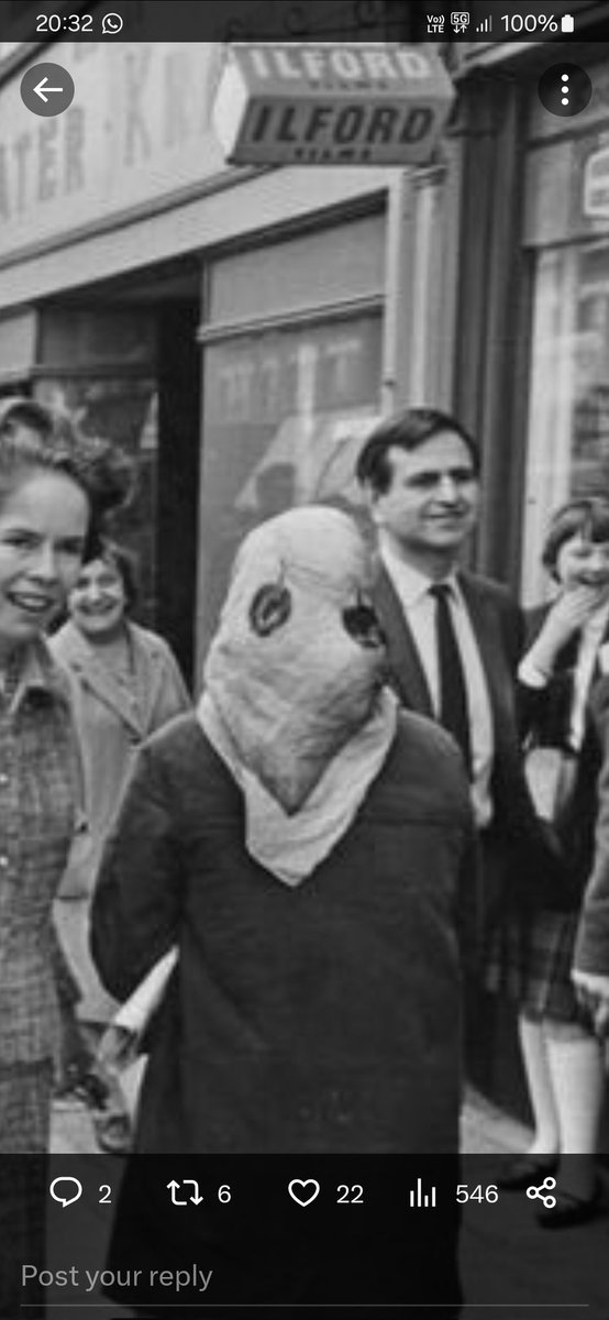 Stinkytwocoats's tweet photo. @AlbionSalter I sse E.T. was there too. Tying to conceal himself https://t.co/kS0pefoGXY