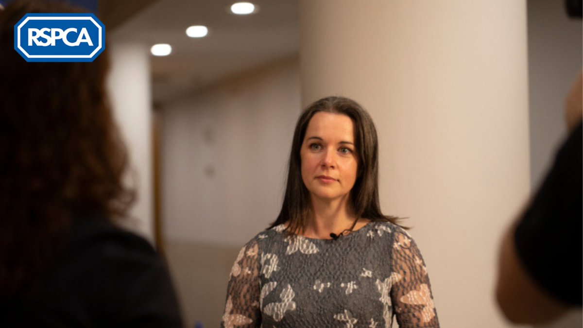 RSPCA (England & Wales) (@rspca_official) on Twitter photo On #InternationalWomensDay, <a href="/Emma_Slav/">Emma Slawinski</a>, our Director of Policy, Prevention and Campaigns reveals what it's like to be a woman in her area of work, and what she believes is the answer to make things better: bit.ly/3Pcn6D2 On #InternationalWomensDay, <a href="/Emma_Slav/">Emma Slawinski</a>, our Director of Policy, Prevention and Campaigns reveals what it's like to be a woman in her area of work, and what she believes is the answer to make things better: bit.ly/3Pcn6D2
