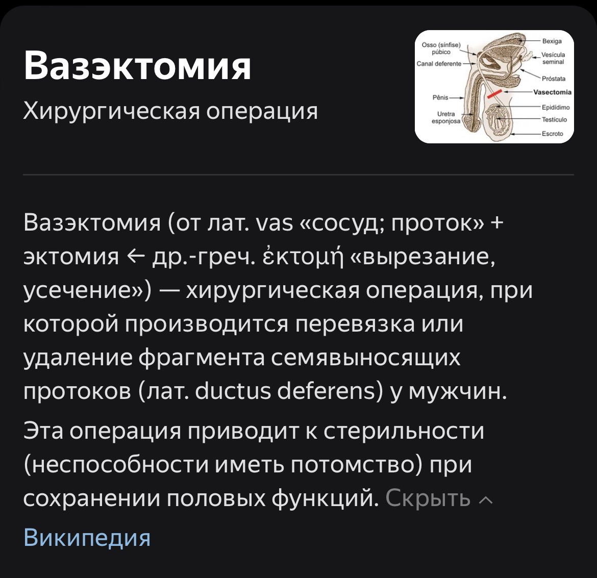 От души рекомендую всем мужчинам, которые так считают 💋❤️