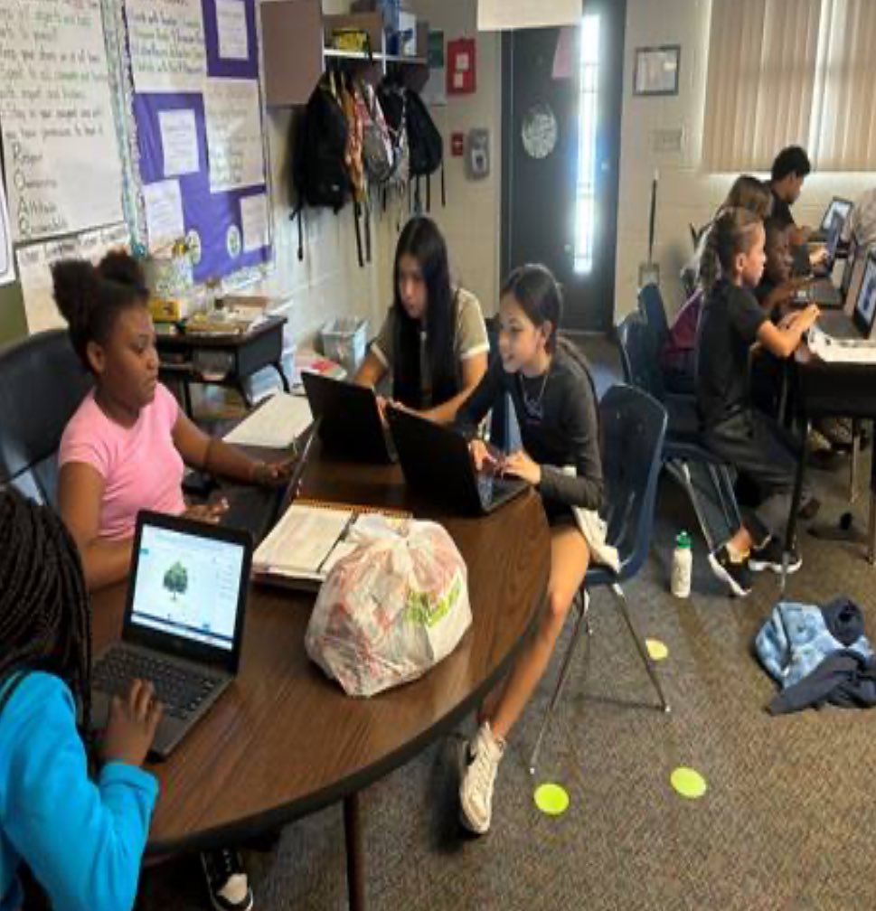 Emerald Shores tweet media