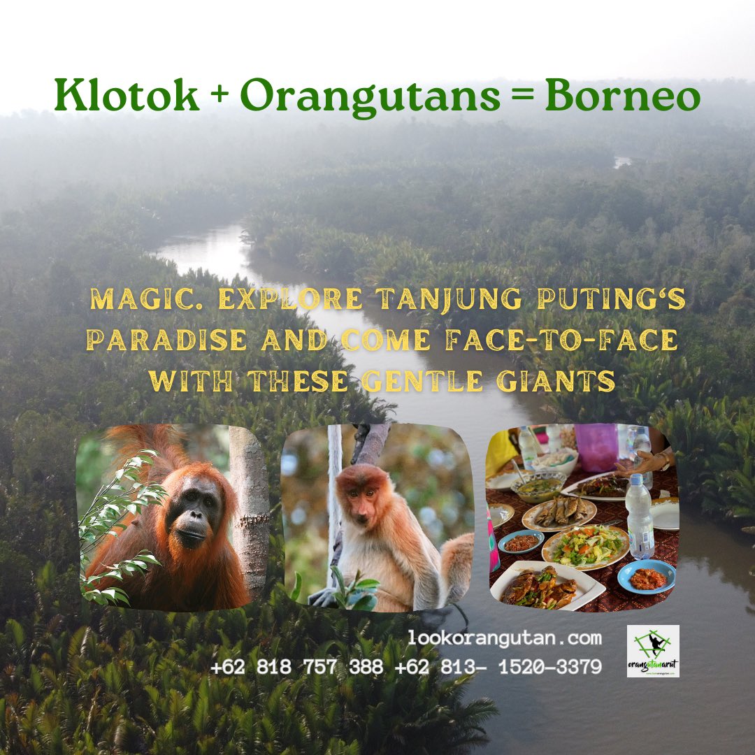berwisata's tweet photo. https://t.co/dPzxqP0liR https://t.co/qvtsYC8tXh