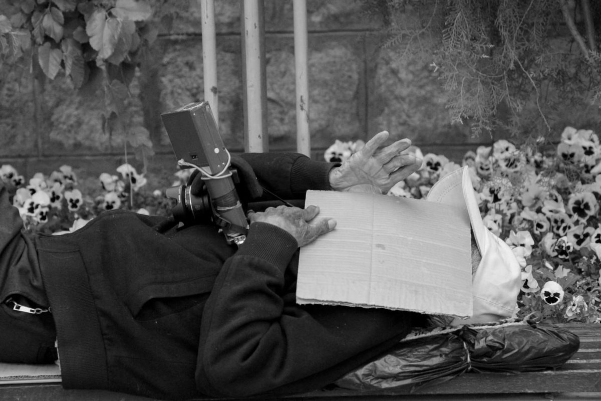 fatemeh._adl | tweet media