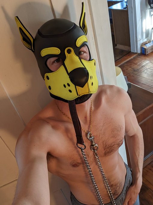 What's that? You think you could walk Nicwoh? https://t.co/wjljlRFUID