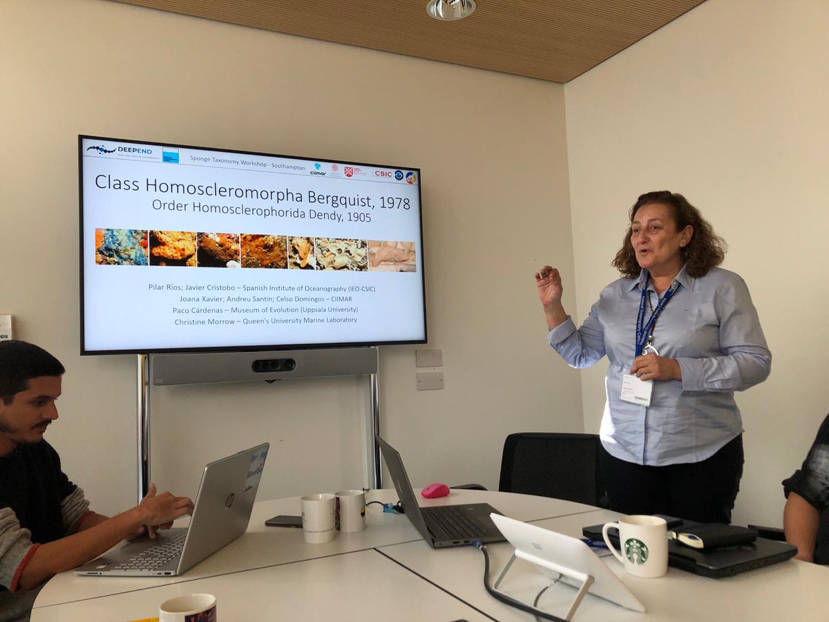 tammy_horton's tweet photo. A little late for day 4 of the #deepend @NOCnews Sponge ID workshop. This week we have had some fantastic presentations from our taxonomist experts. https://t.co/A1pkVMh4Qj