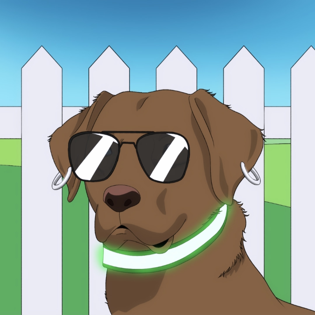 DogSanctuaryNFT's tweet photo. @bostonbeerguy_ @DogSanctuaryNFT has built @K9DepotShop and our custom treats with rev share for our holders are unmatched! Real web2 business with real web3 community!
#k9crate
#barkish https://t.co/nrCOQHNjeY