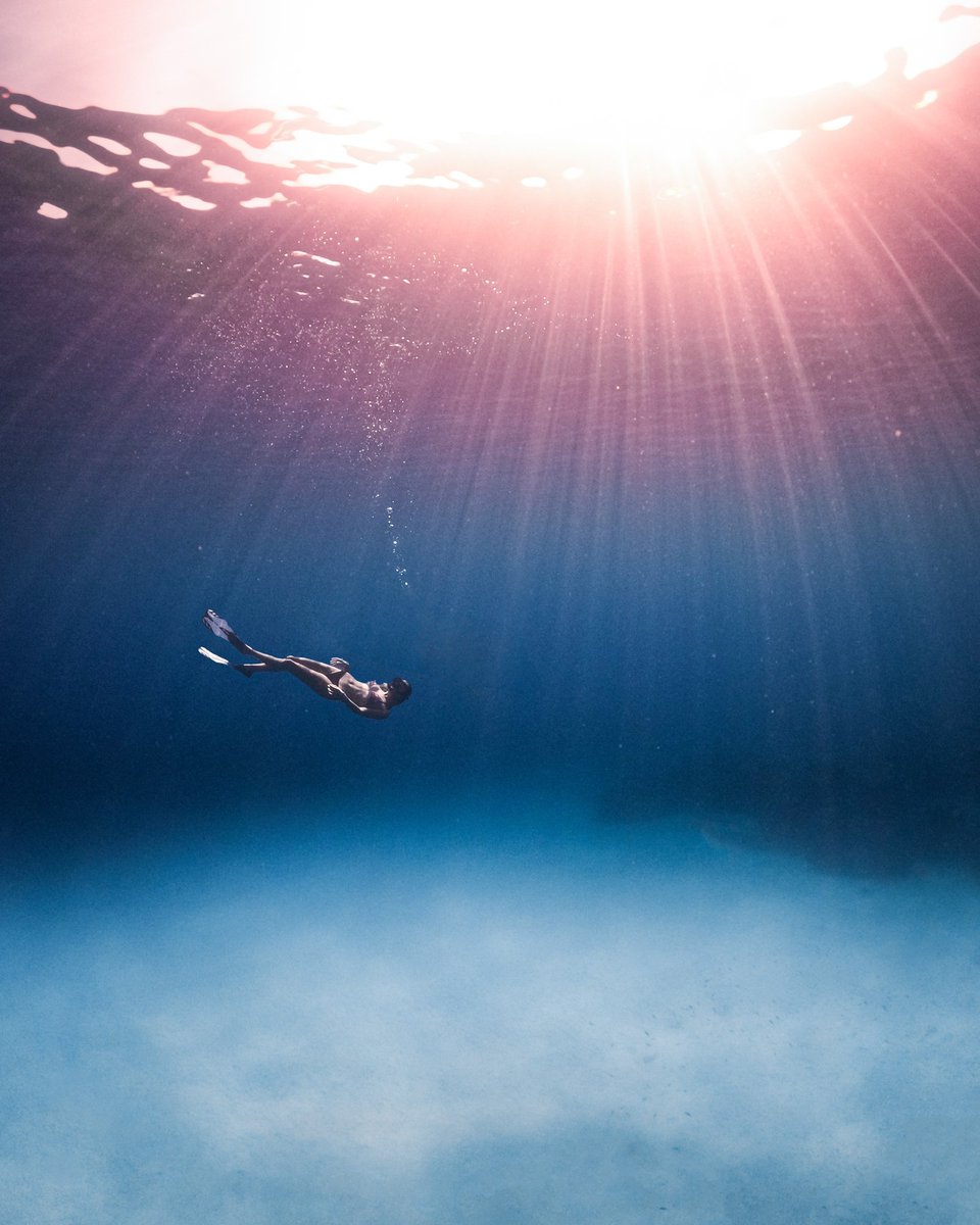 GoPro's tweet photo. Photo of the Day: Soaking up #IWD2024 with Michela Dr ☀️ Snapped by GoPro Subscriber Filippo Fistarol for a $500 Award.

#ProTip: You can submit to GoPro Awards directly through the Quik app while reviewing your GoPro content.

#GoPro #InspireInclusion #Diving #FreeDiving #Italy https://t.co/Hpb7PCCR4v