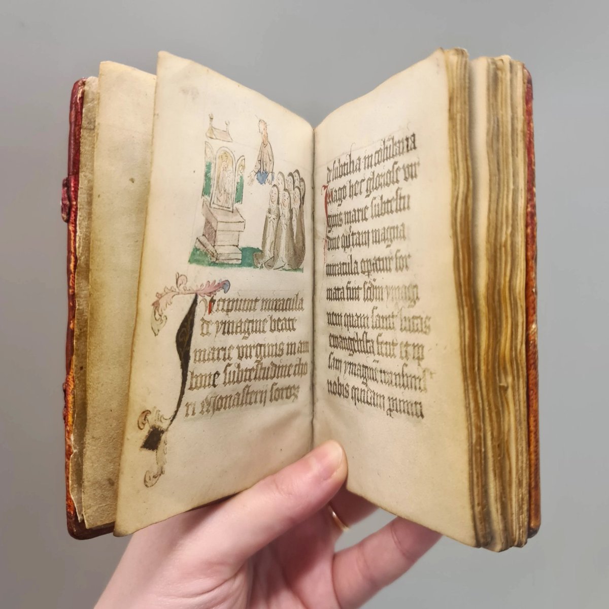 Ariane Lepilliet tweet media