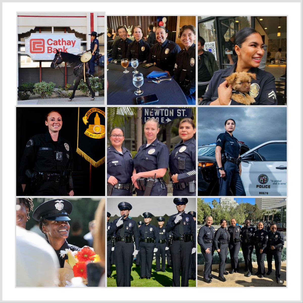 Let's honor the incredible women of the LAPD who've broken barriers and continue to make invaluable contributions to law enforcement. Here's to their resilience, courage, and unwavering dedication.  #InternationalWomensDay  #WomenInLawEnforcement